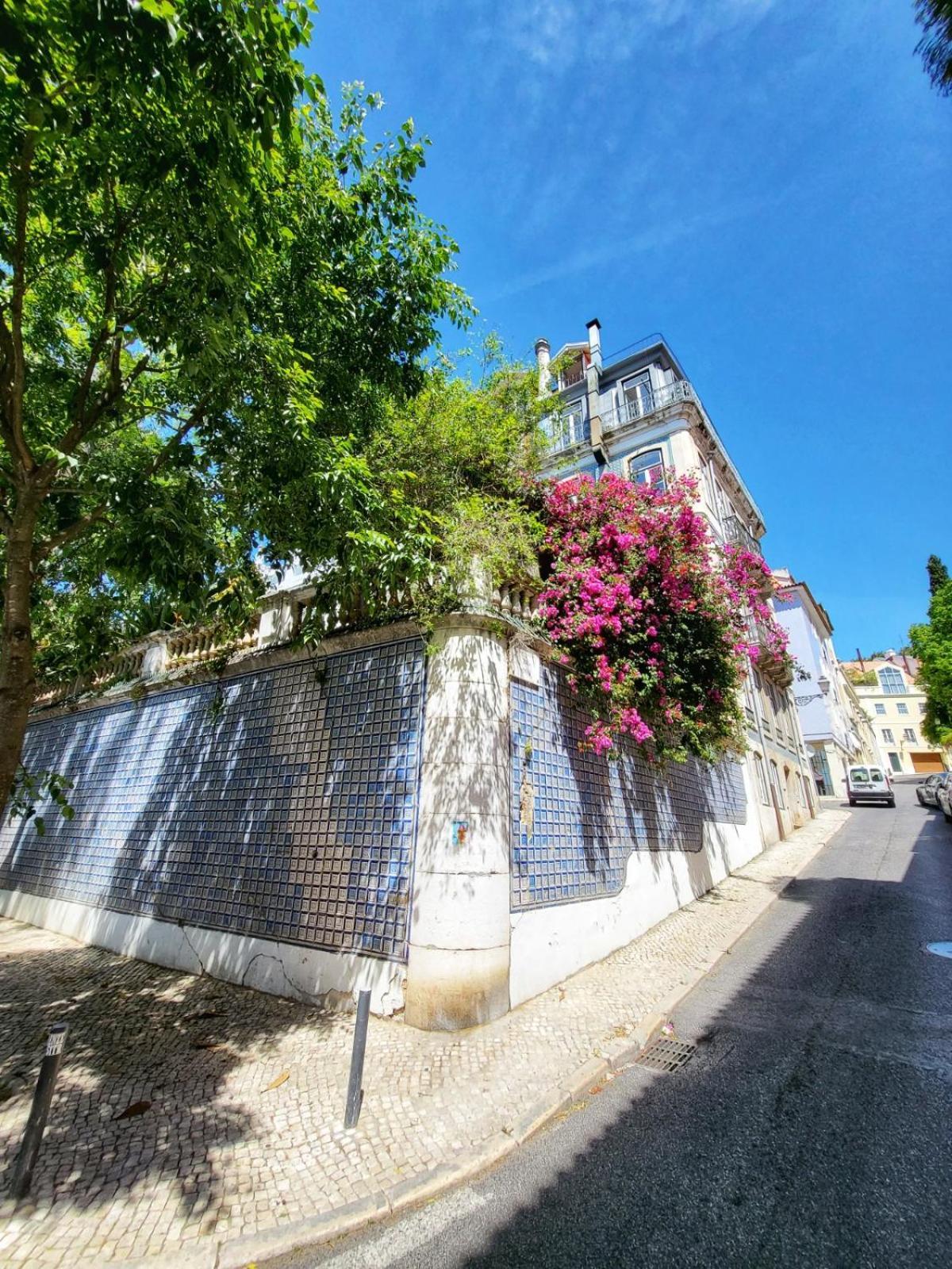 Apartment Principe Real Lissabon